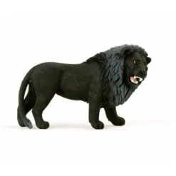 Lion noir, rugissant