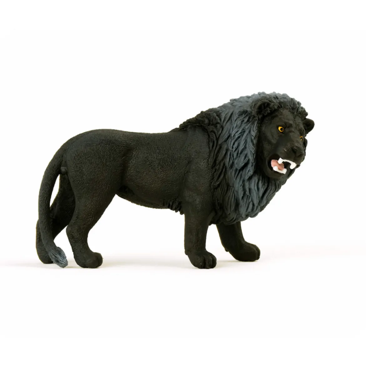 Lion noir, rugissant