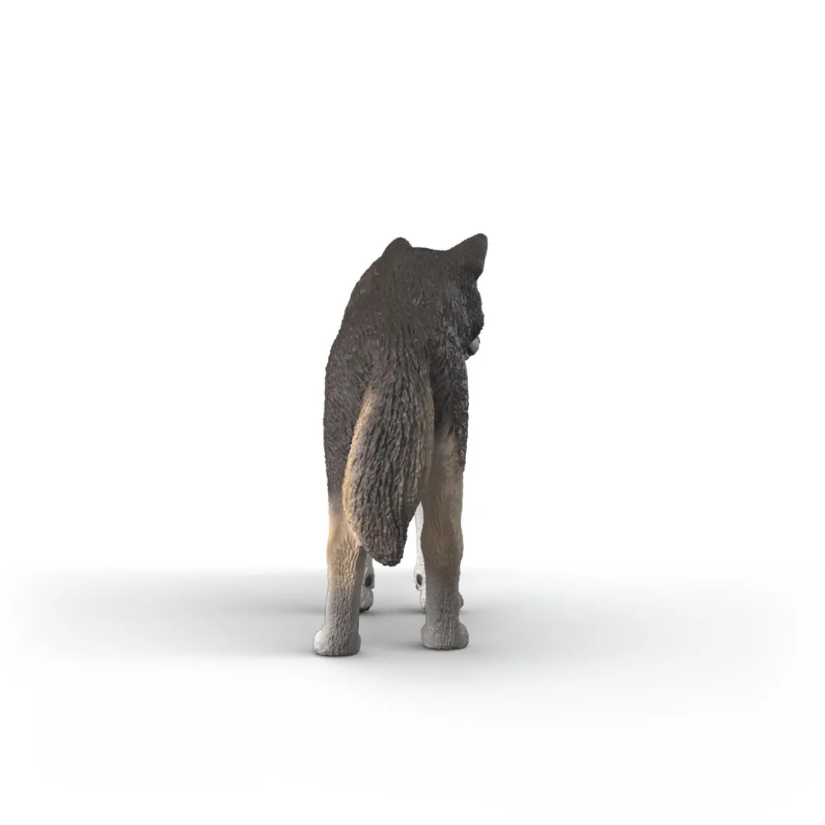 Loup américain