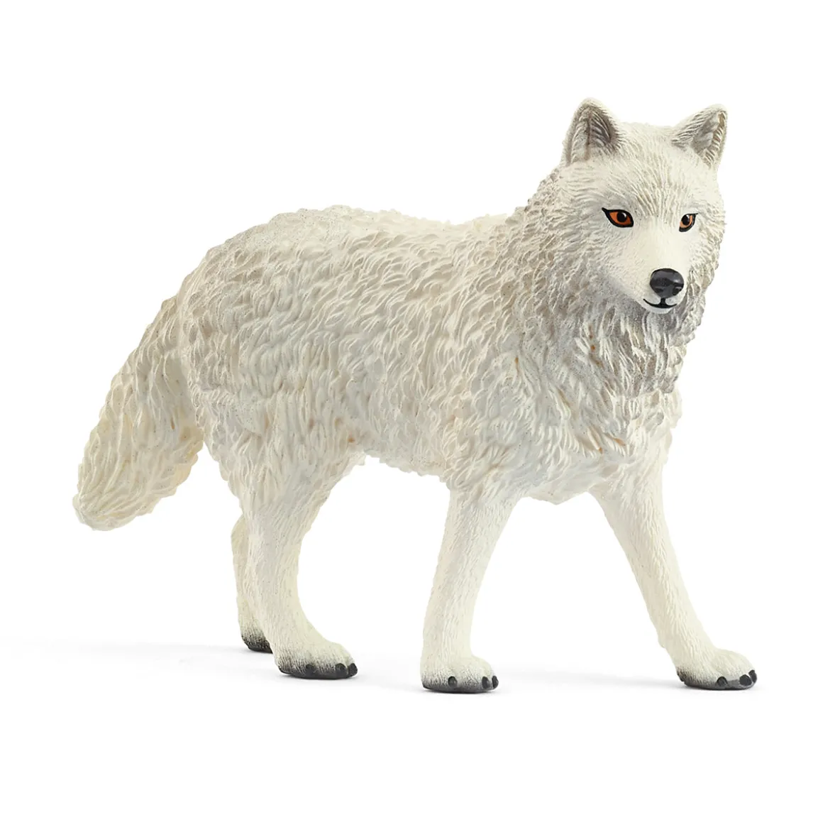 Loup Arctique