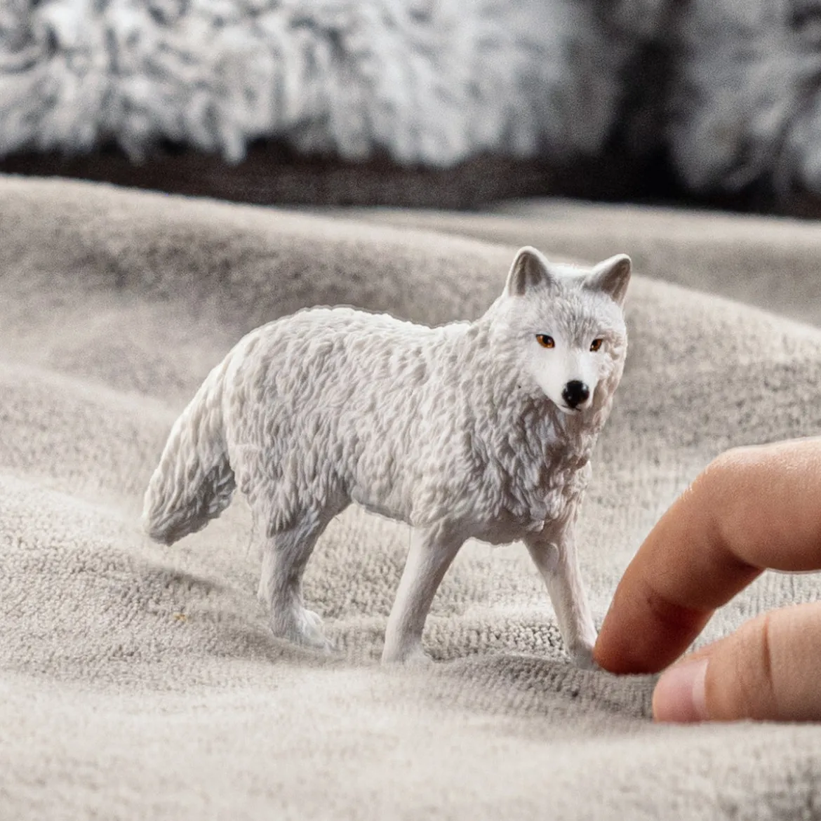 Loup Arctique