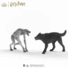 Loup-garou contre Animagus