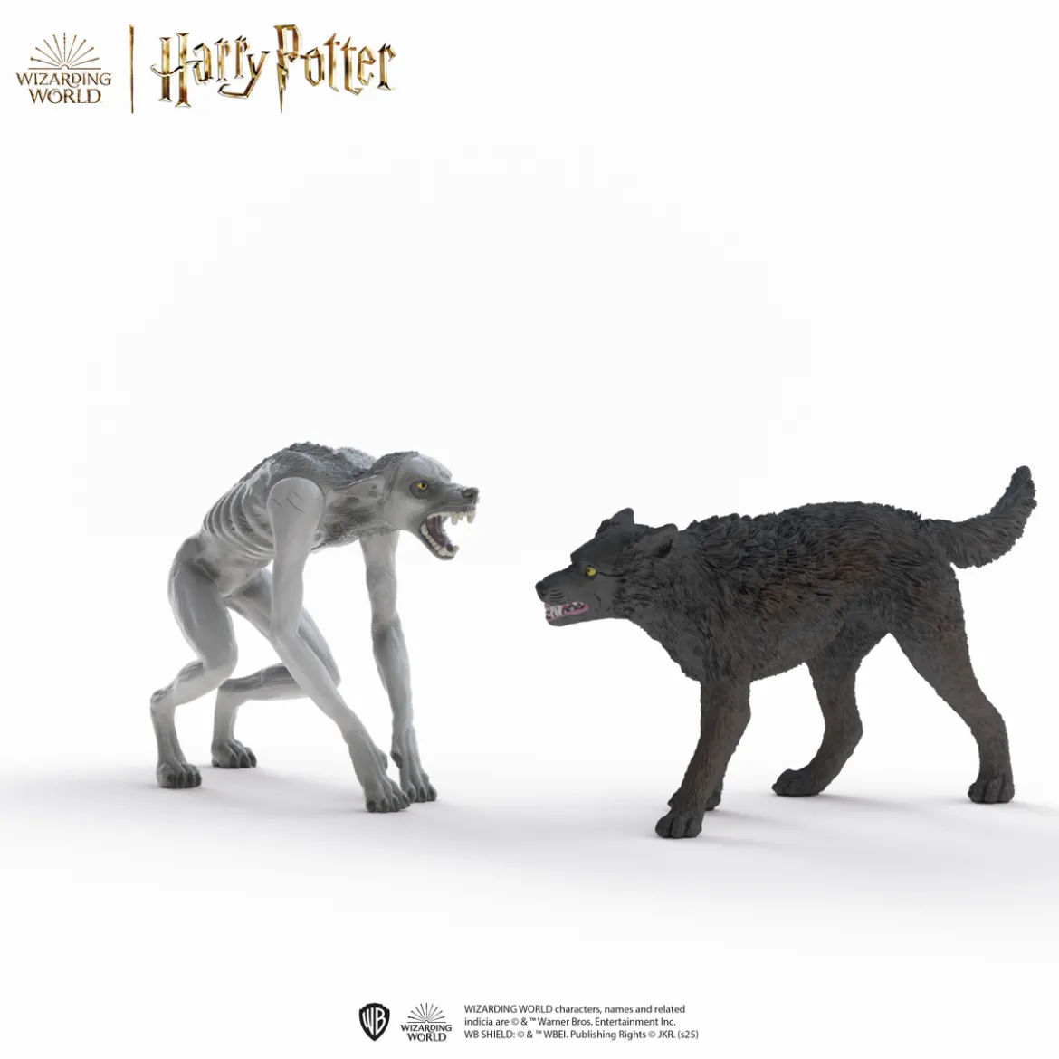 Loup-garou contre Animagus