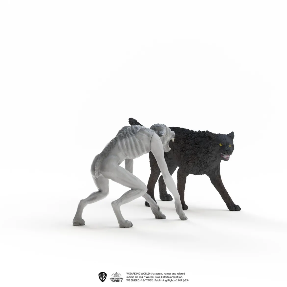 Loup-garou contre Animagus
