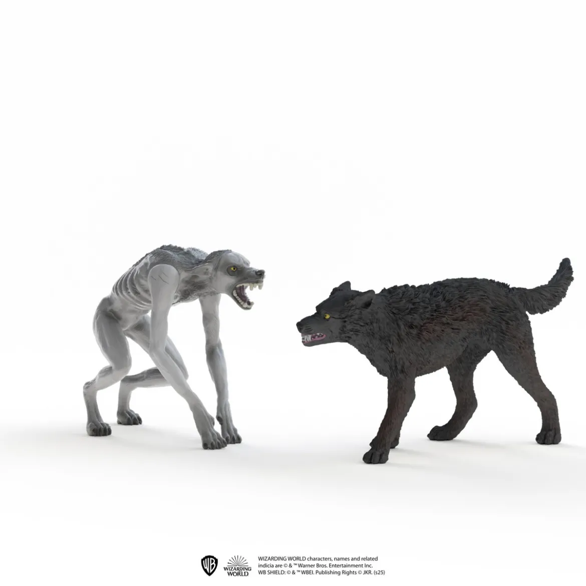 Loup-garou contre Animagus