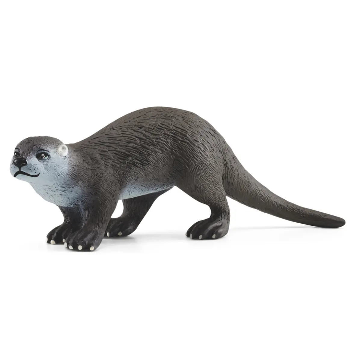 Loutre (Bundle)