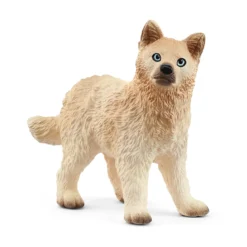 Louveteau Arctique