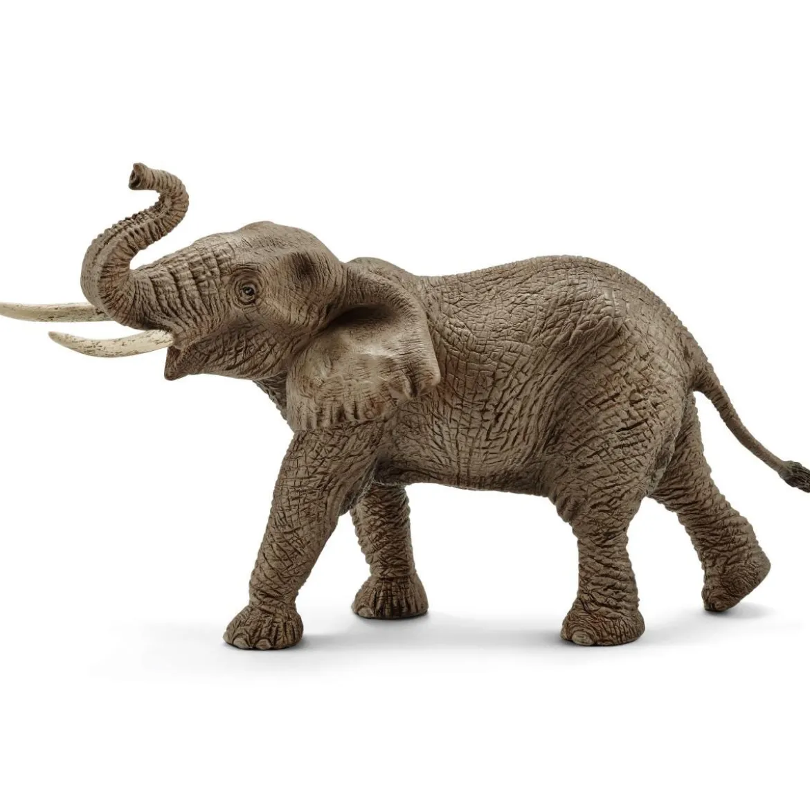 Éléphant d'Afrique mâle