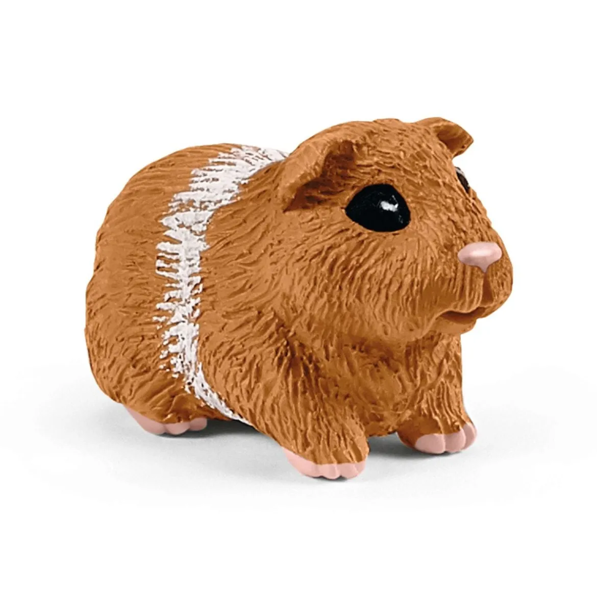 Maison pour lapins et cochons d’Inde