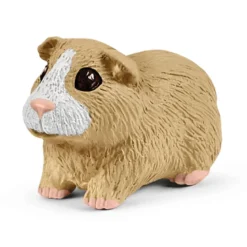 Maison pour lapins et cochons d’Inde