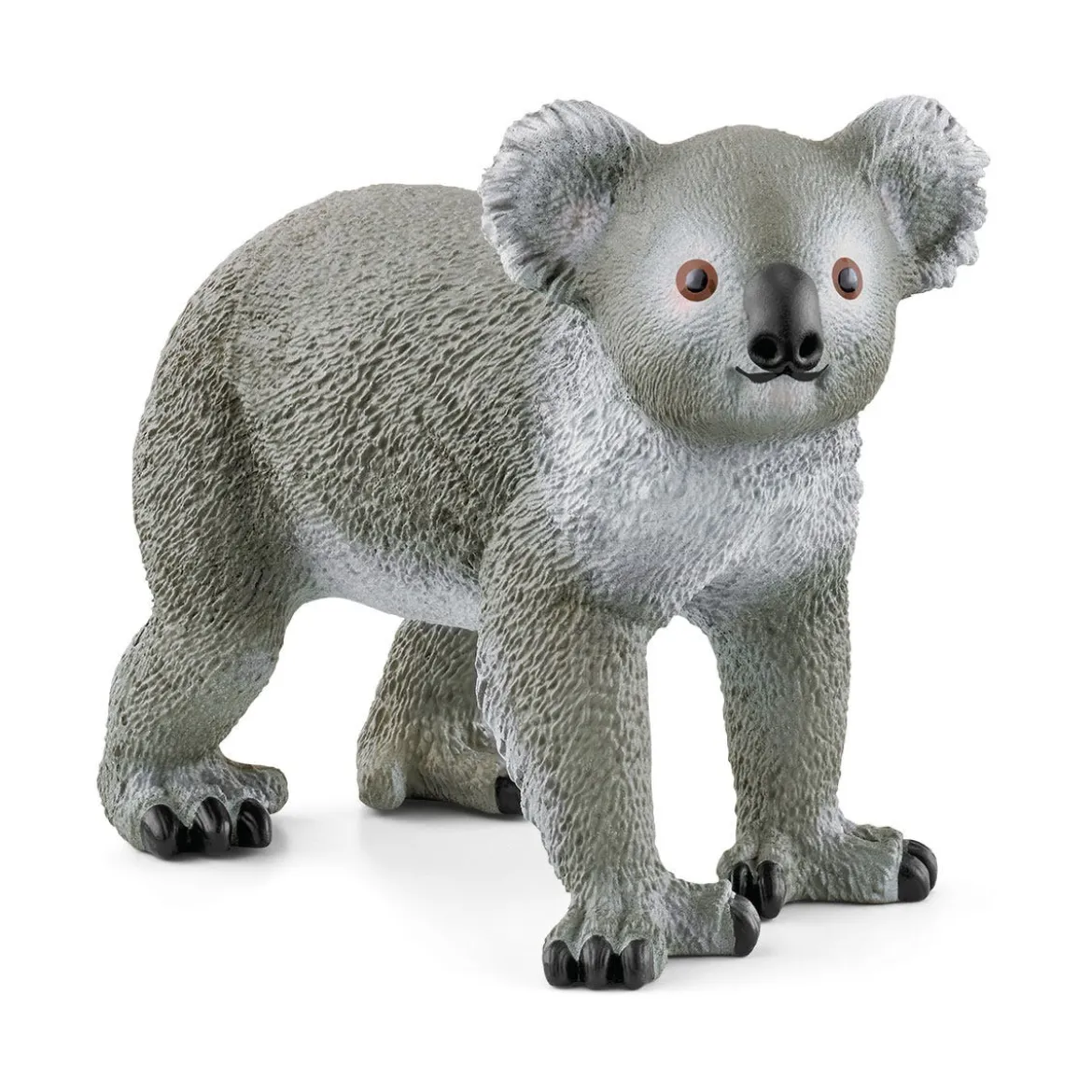 Maman Koala Avec Son Bébé