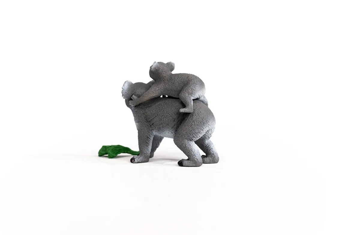 Maman Koala Avec Son Bébé