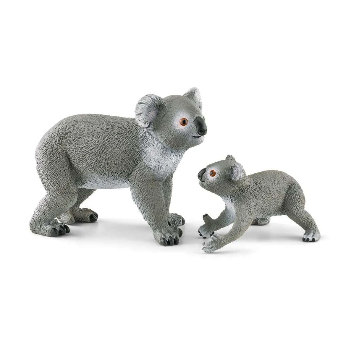 Maman Koala Avec Son Bébé
