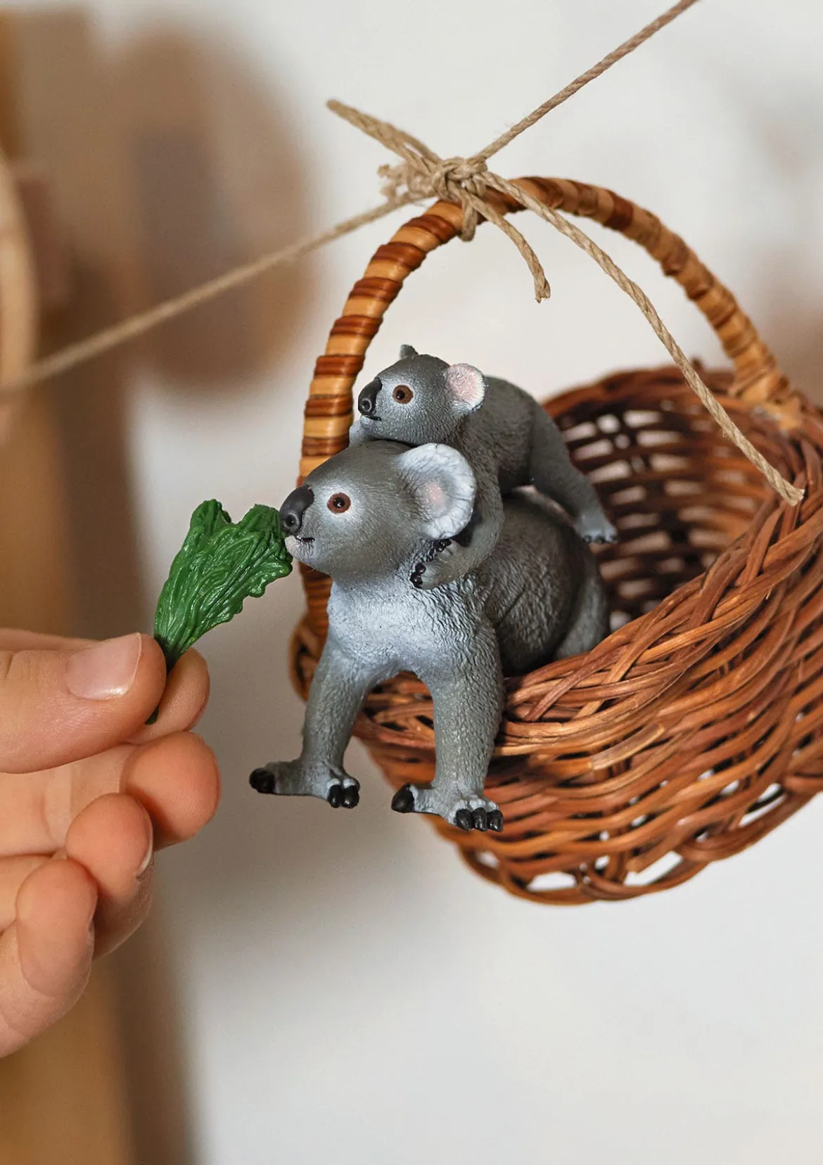 Maman Koala Avec Son Bébé
