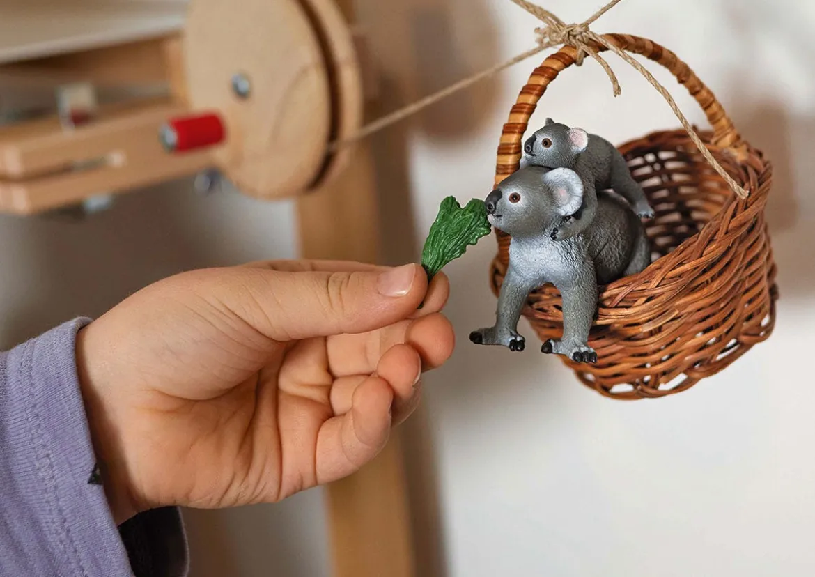 Maman Koala Avec Son Bébé