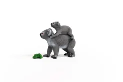 Maman Koala Avec Son Bébé
