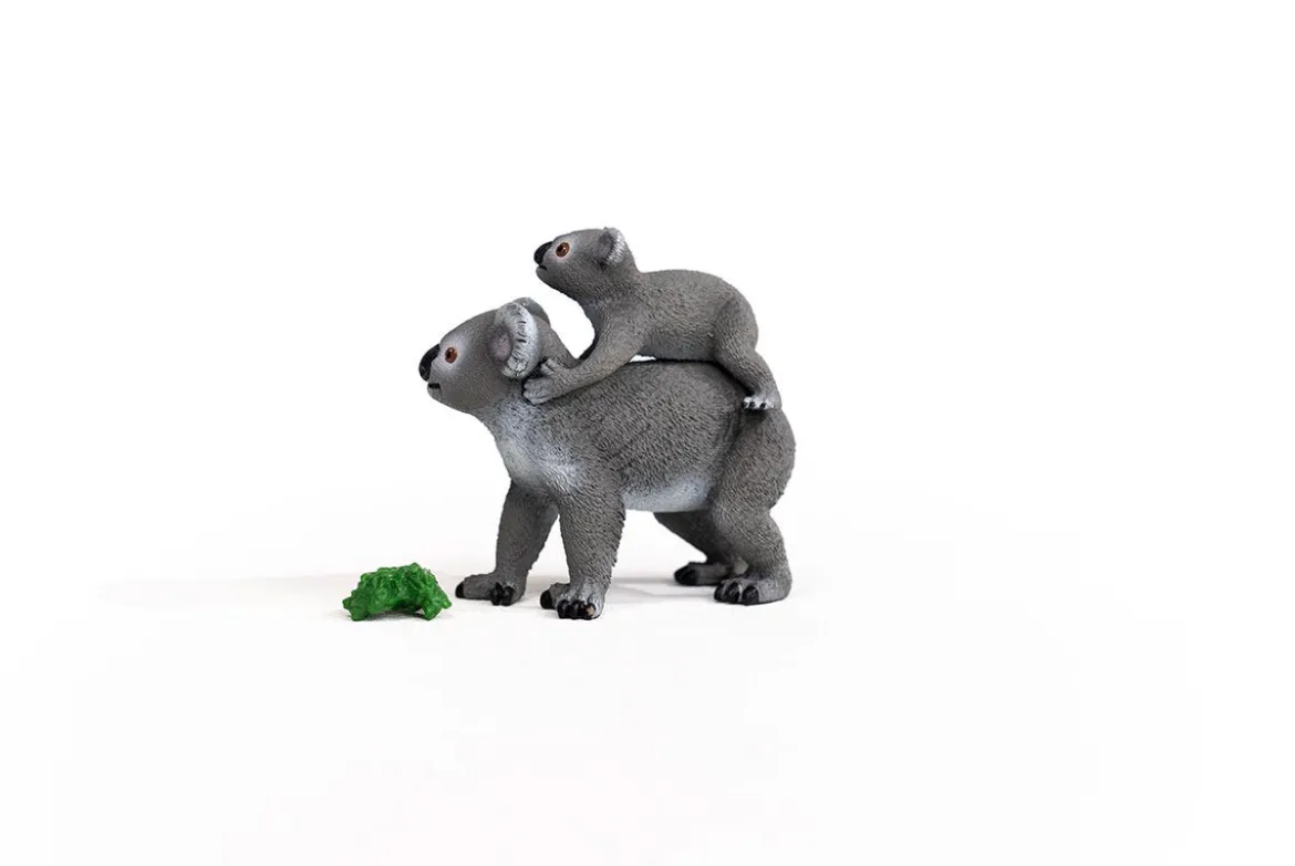 Maman Koala Avec Son Bébé
