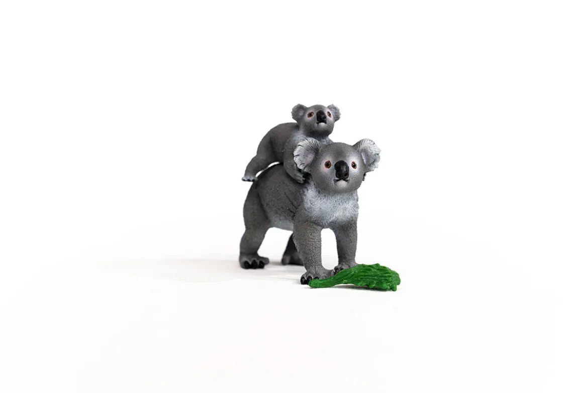 Maman Koala Avec Son Bébé