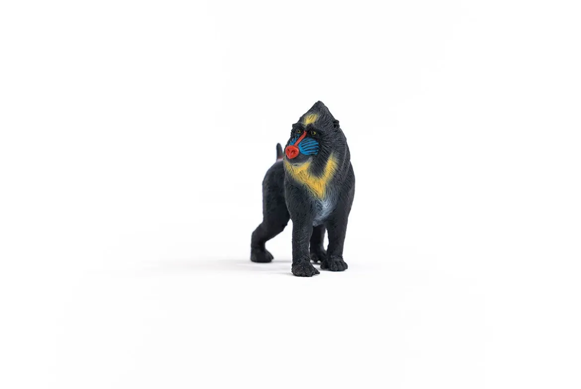Mandrill