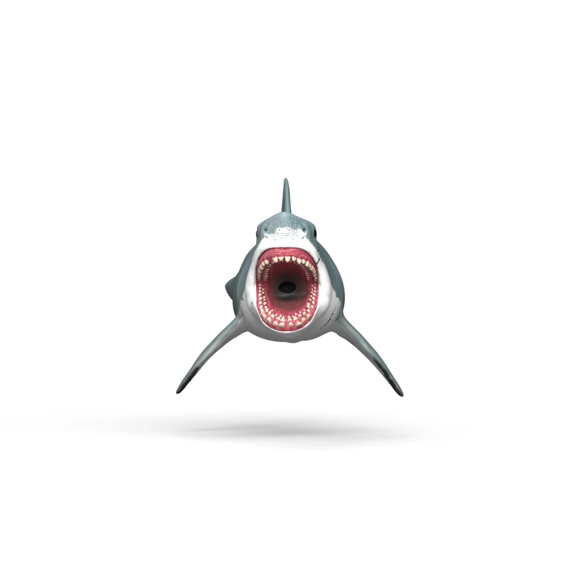 Mégalodon