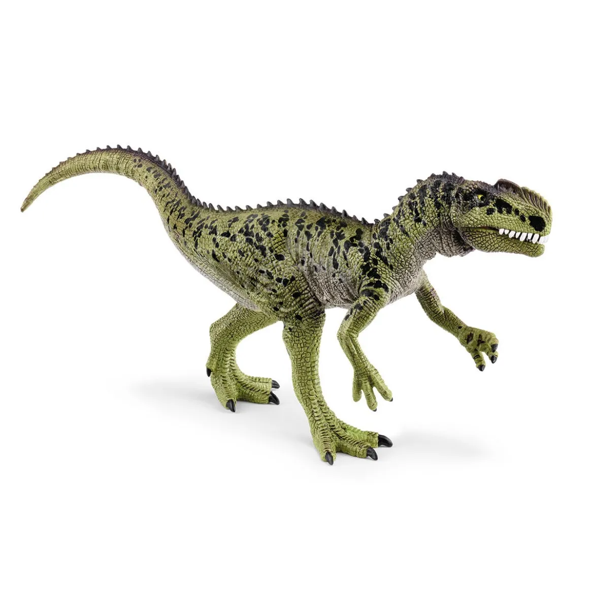 Monolophosaurus