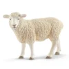 Mouton (Bundle)