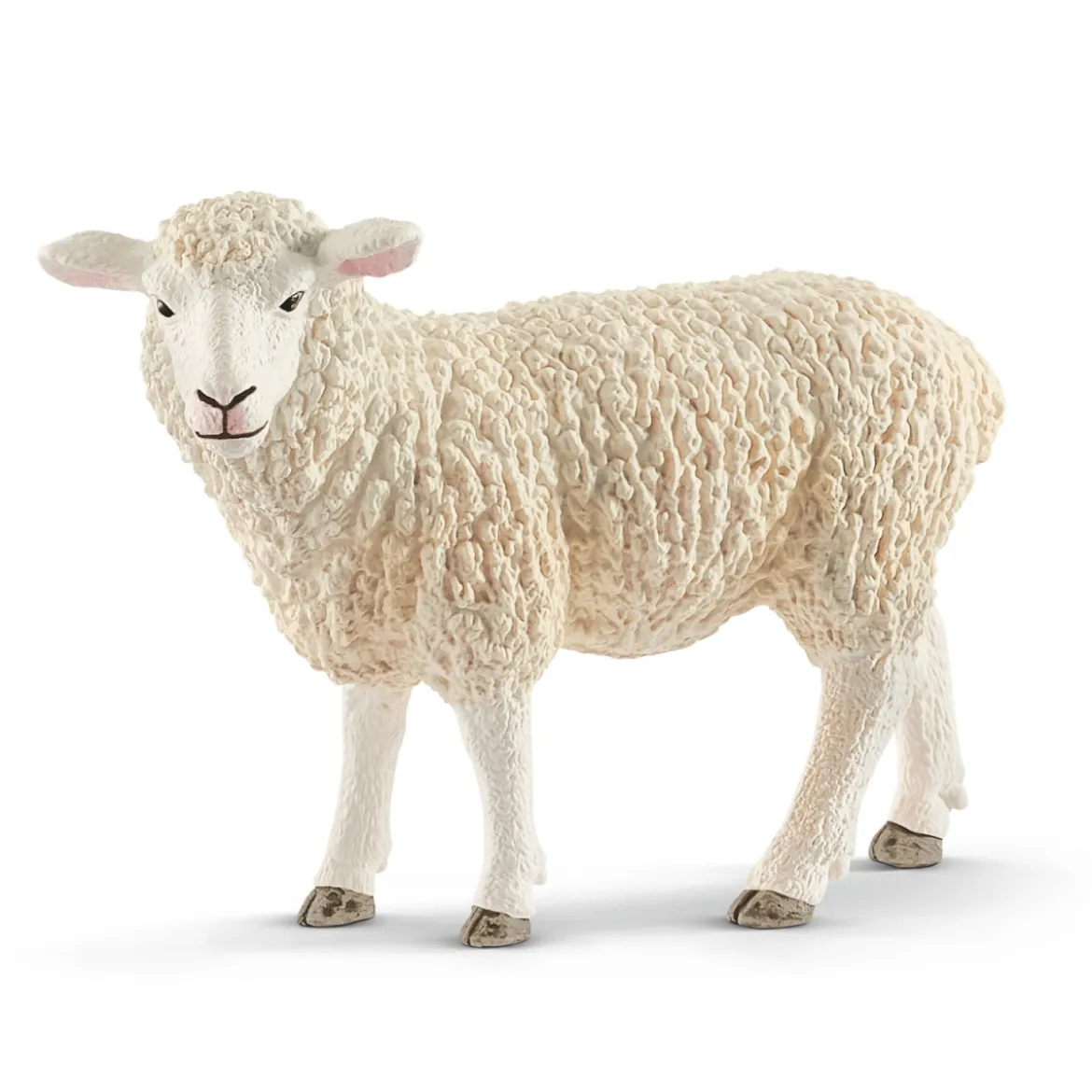 Mouton (Bundle)