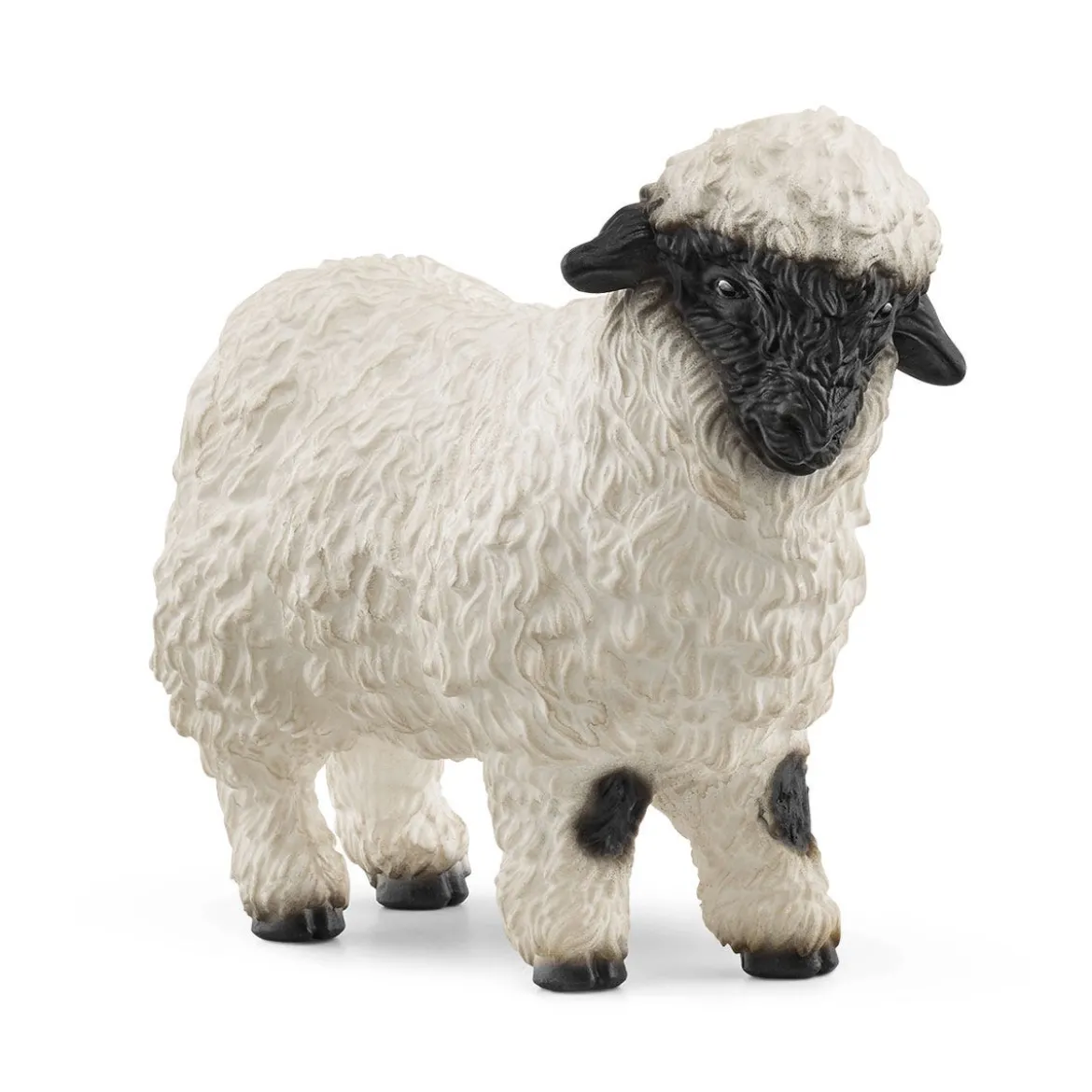 Mouton à Nez Noir du Valais