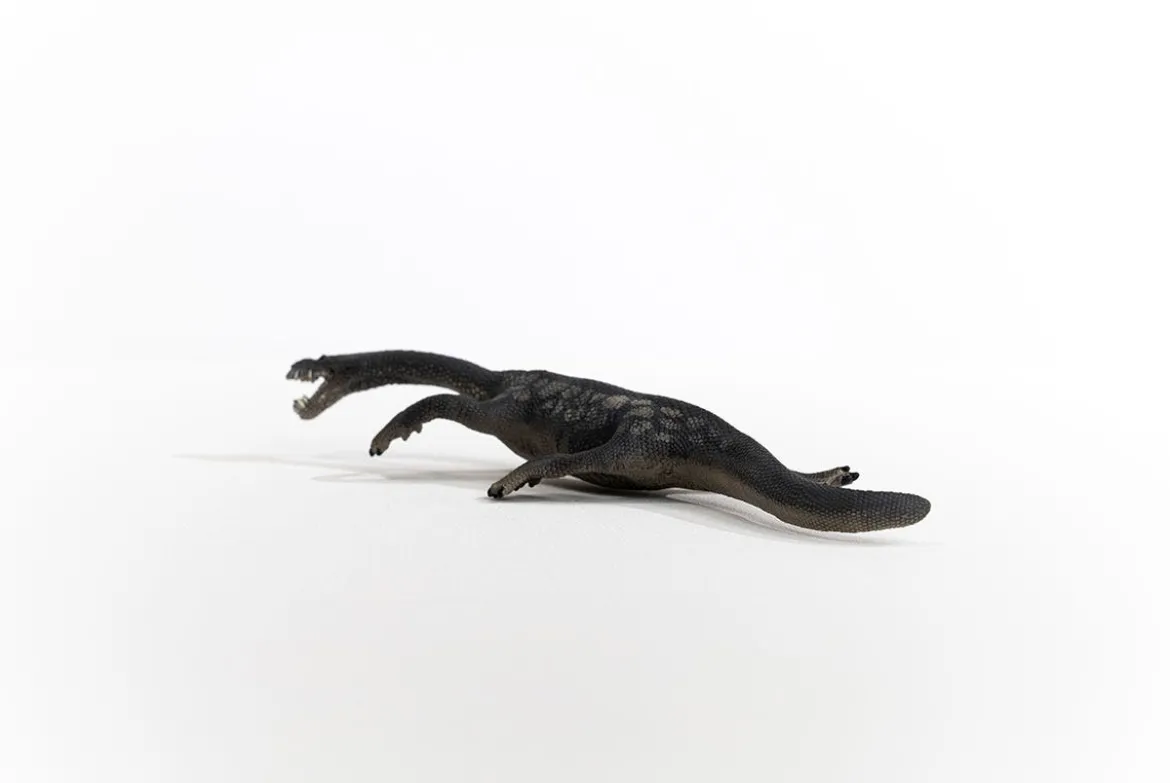 Nothosaurus