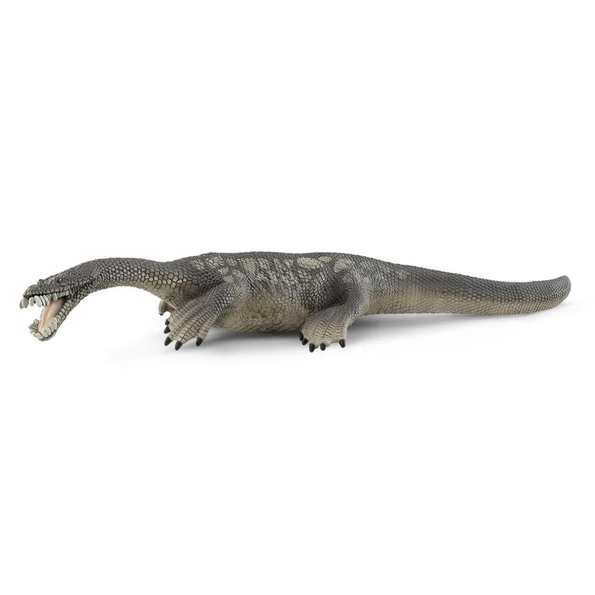 Nothosaurus