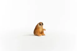 Nycticèbe