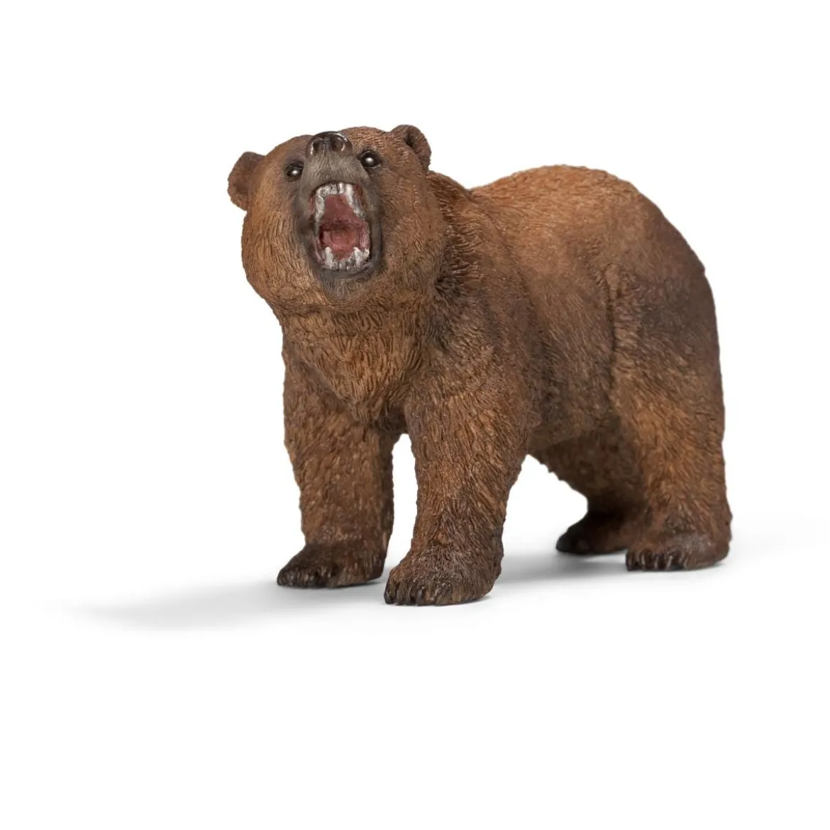 Ours Grizzly (Bundle)
