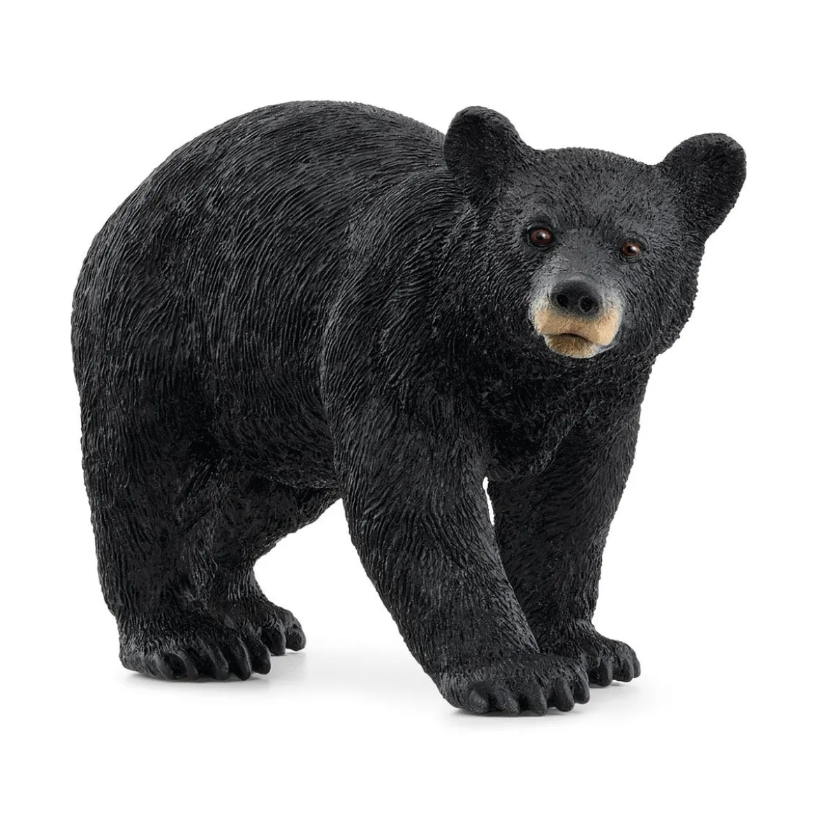 Ours noir