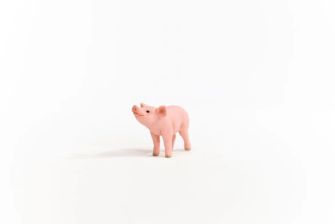 Porcelet