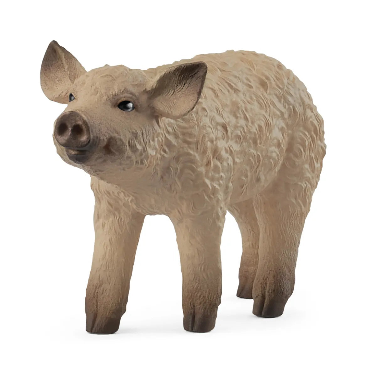 Porcelet Mangalica