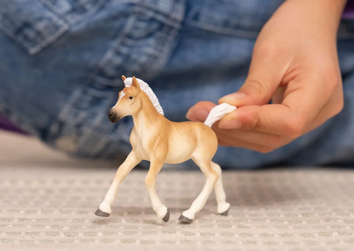 Poulain Haflinger