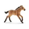 Poulain mustang (Bundle)