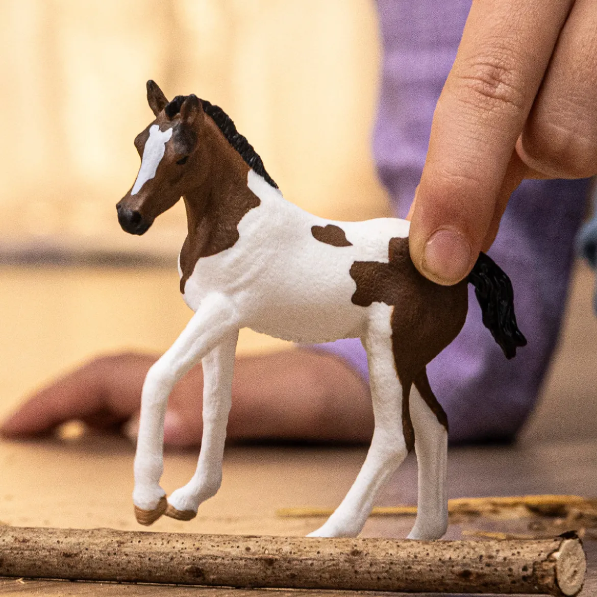 Poulain Paint Horse