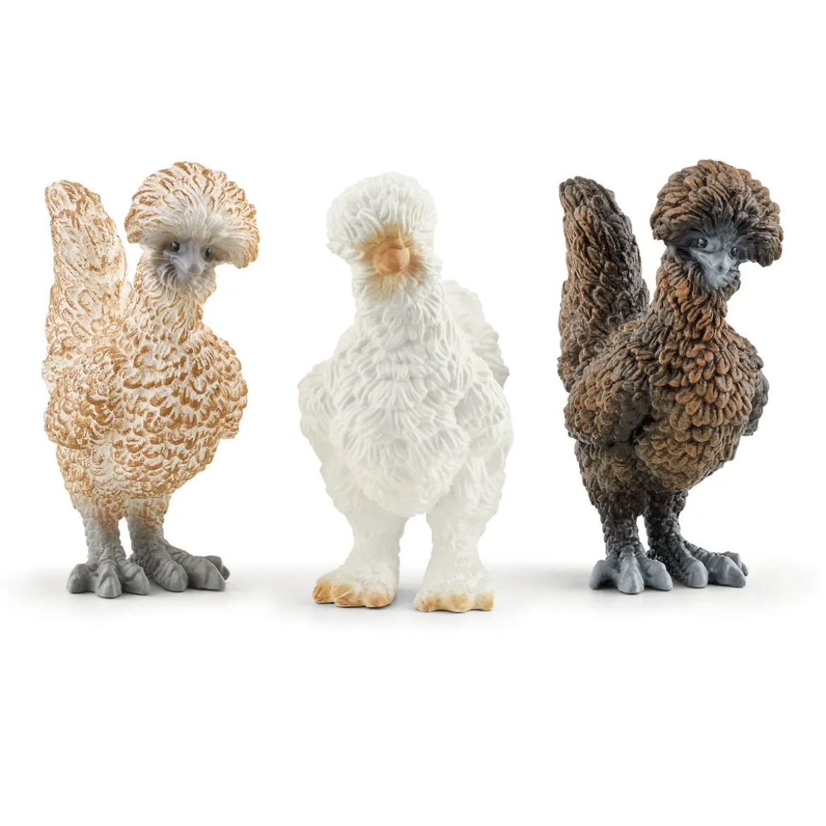 Poules Amies
