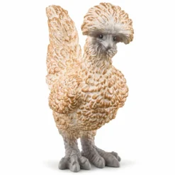 Poules Amies