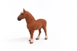 Poulinière belge