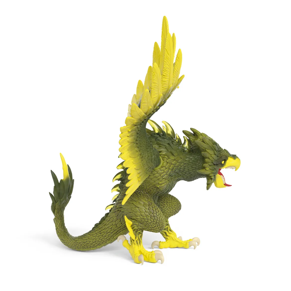 Raptor de la jungle