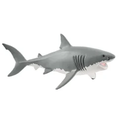 Requin blanc