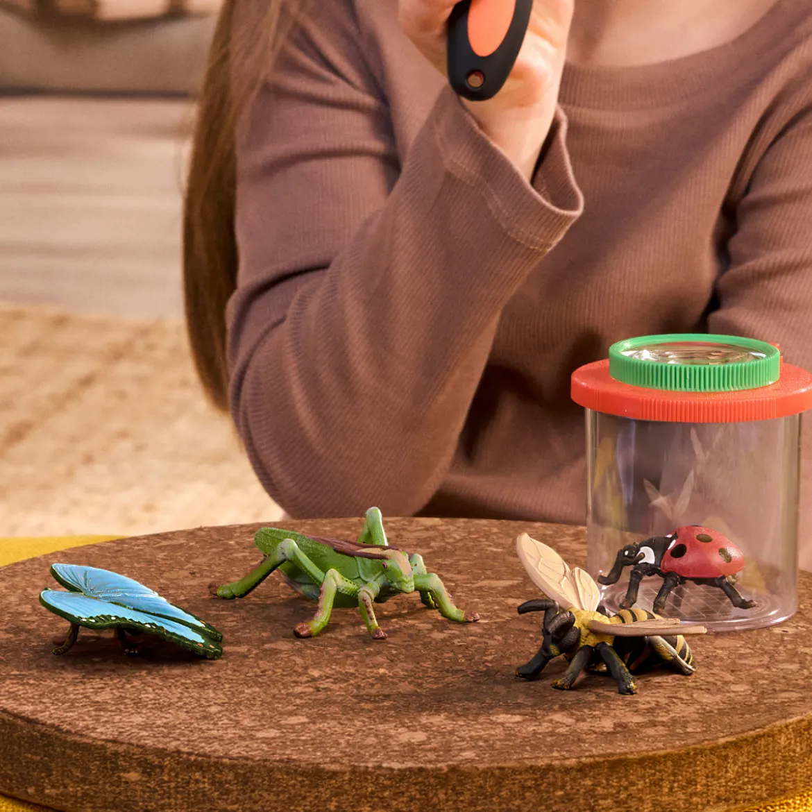 Set découverte : les insectes
