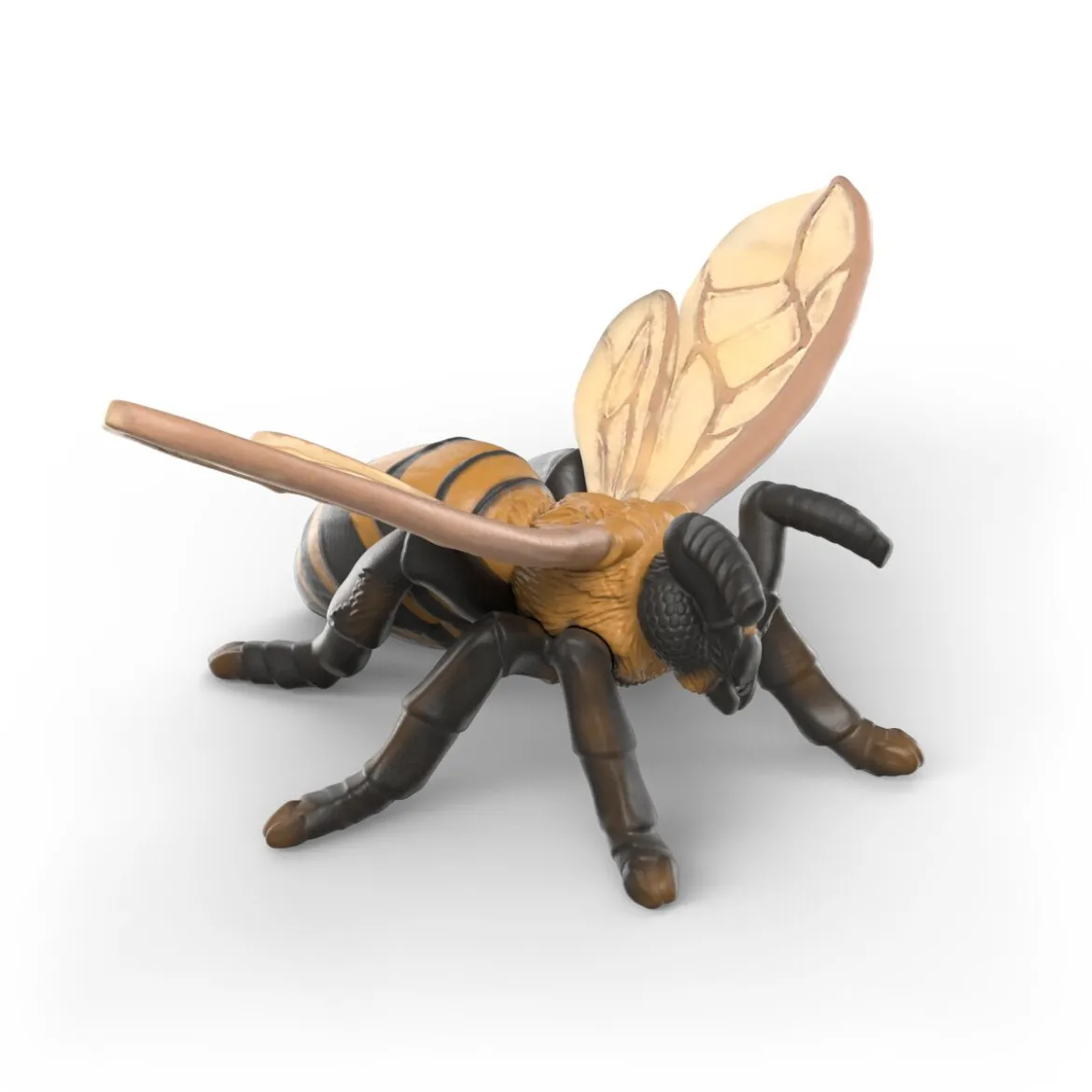 Set découverte : les insectes