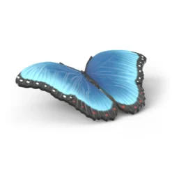 Set découverte : les insectes