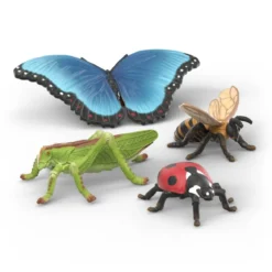 Set découverte : les insectes