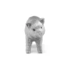 Silver good-luck Pig