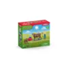 Station de lavage de vaches