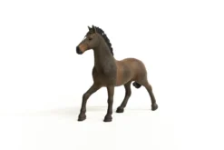 Étalon oldenbourg